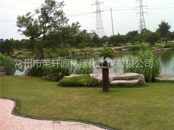 常州榮軒園林綠化養護的服務標準和方案